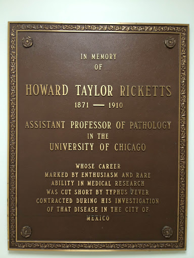 Howard Taylor Ricketts