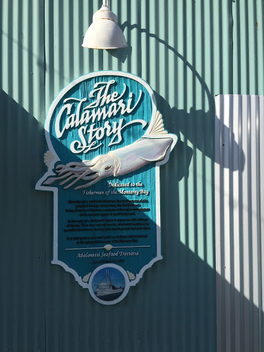 The Calmari Story