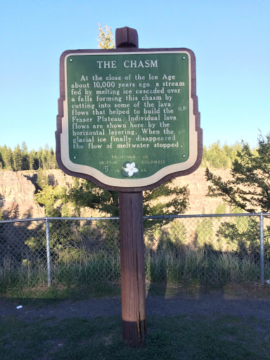 The Chasm