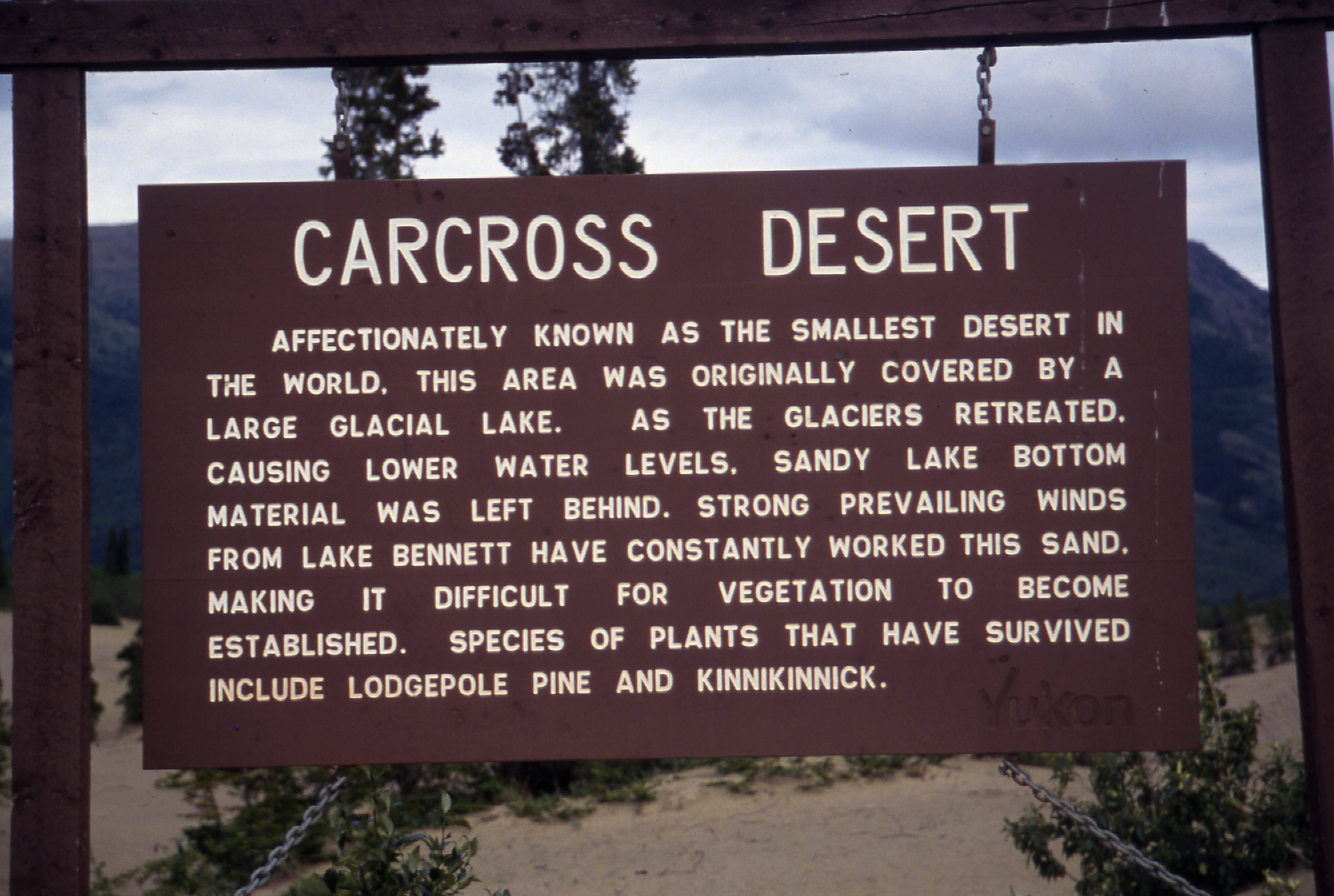 Carcross Desert