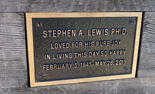 Stephen A. Lewis PH. D.