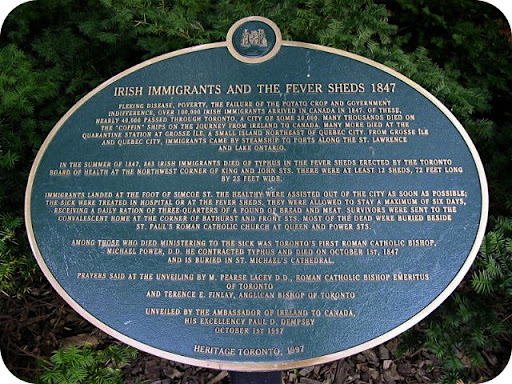 Irish Immigrants and the Fever Sheds 1847