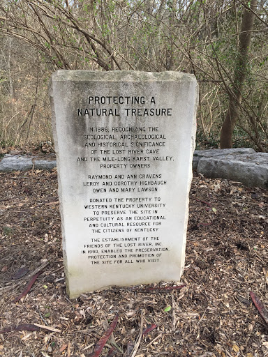 Protecting a Natural Treasure