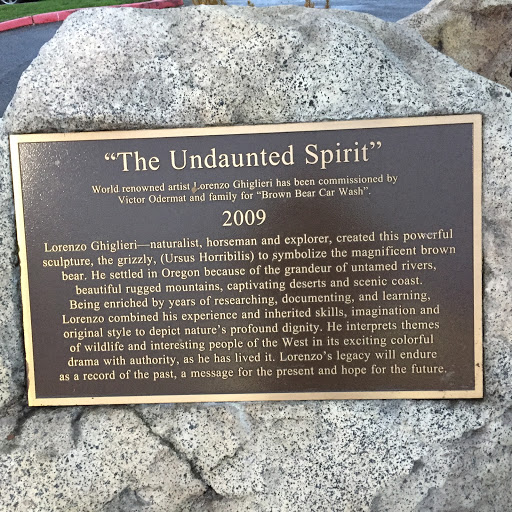 The Undaunted Spirit