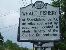 WHALE FISHERY