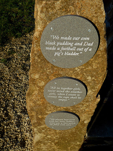Inscriptions in the windbreak at Horden Grassland Nature Reserve