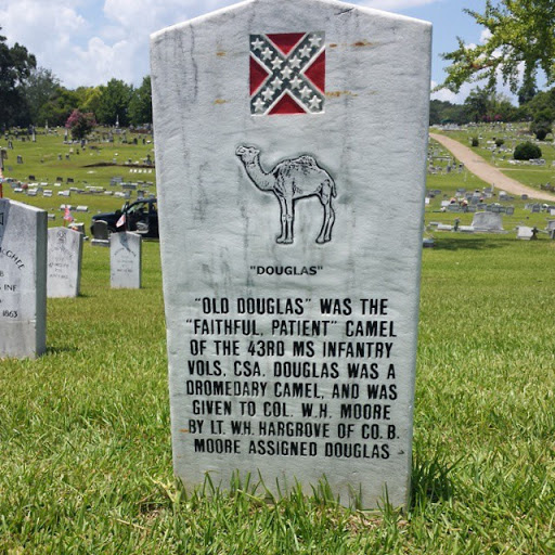 Old Douglas