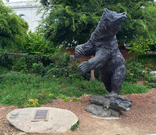 Lynn O. "Pappy" Waldorf Cal Bear