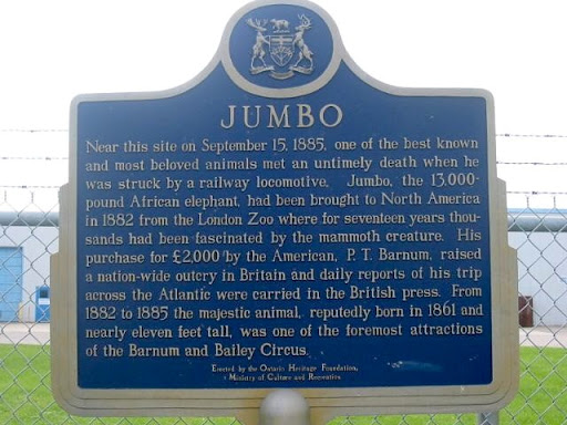 Jumbo