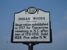 INDIAN WOODS