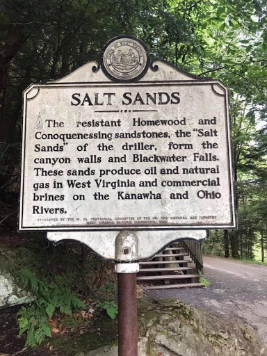 Salt Sands