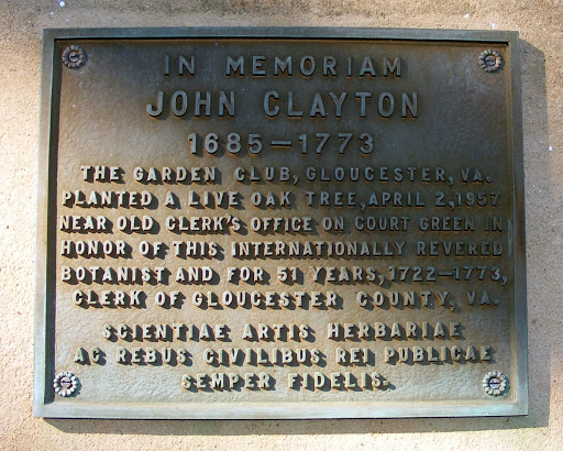 In Memoriam John Clayton