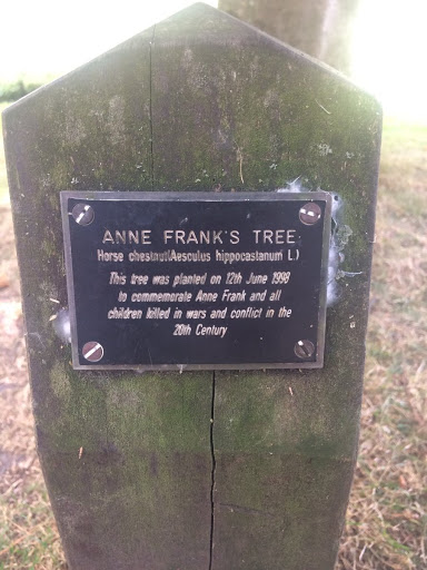 Anne Frank's Tree