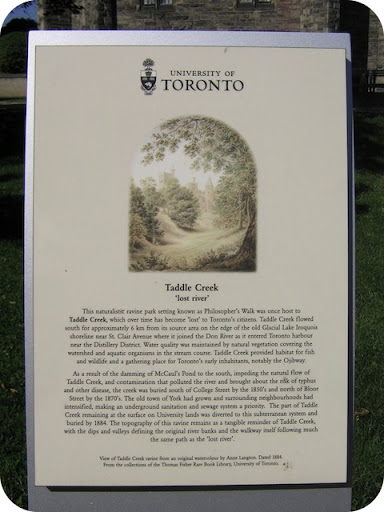 Taddle Creek 'lost river'