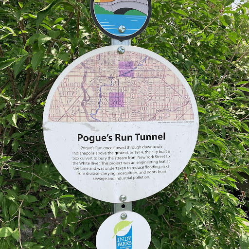 Pogue's Run