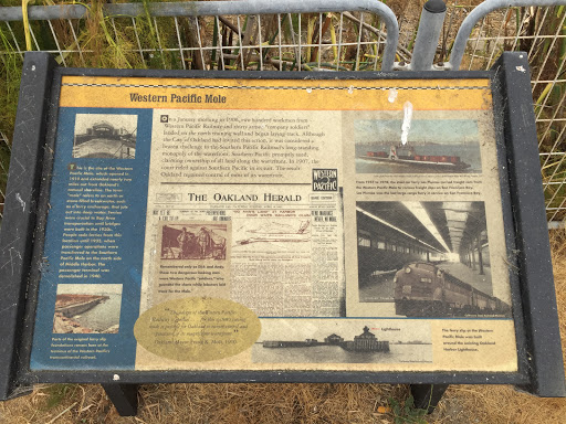 Western Pacific Mole